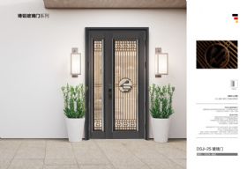 2021德斯杰安全门DSJ-25玻璃门